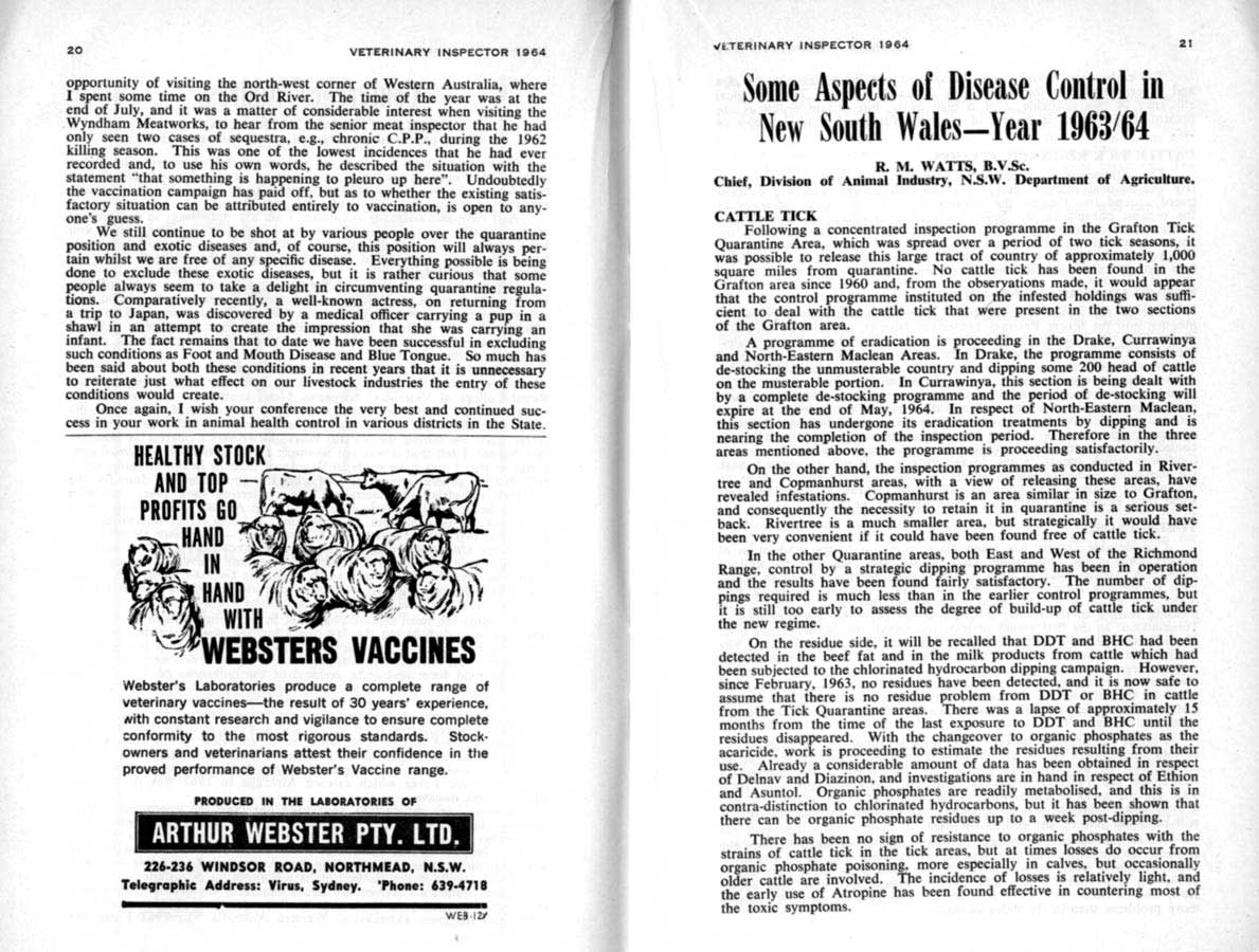 1964 Page 20 21